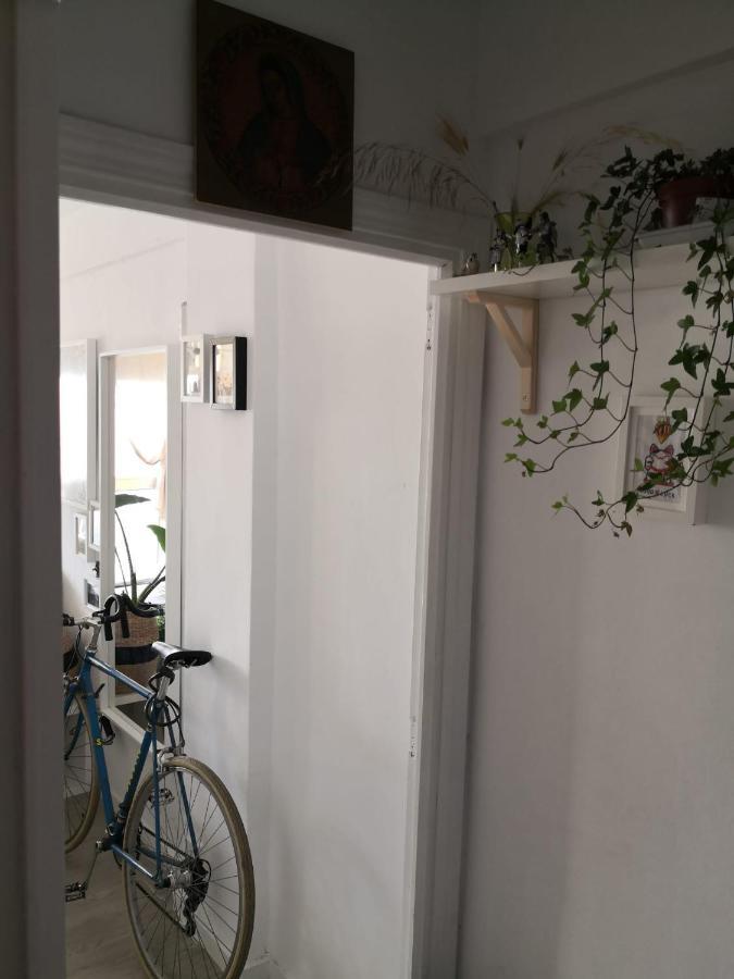 My Quiet House Daire Málaga Dış mekan fotoğraf