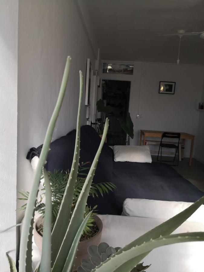 My Quiet House Daire Málaga Dış mekan fotoğraf